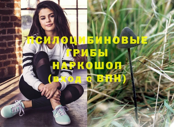 a pvp Красноперекопск