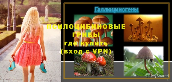 apvp Корсаков