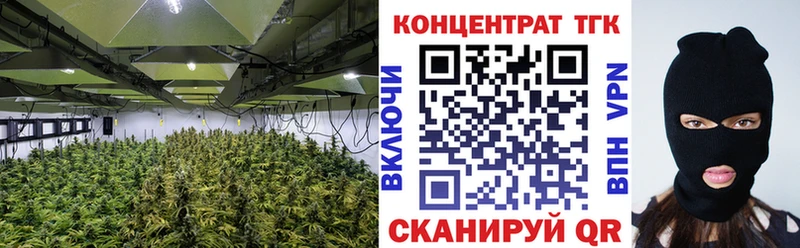 MEGA маркетплейс  Псков  ТГК гашишное масло 