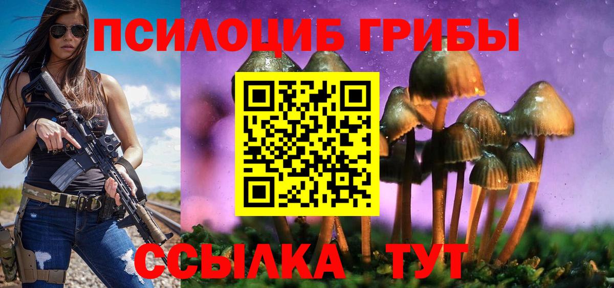 Псилоцибиновые грибы GOLDEN TEACHER Псков