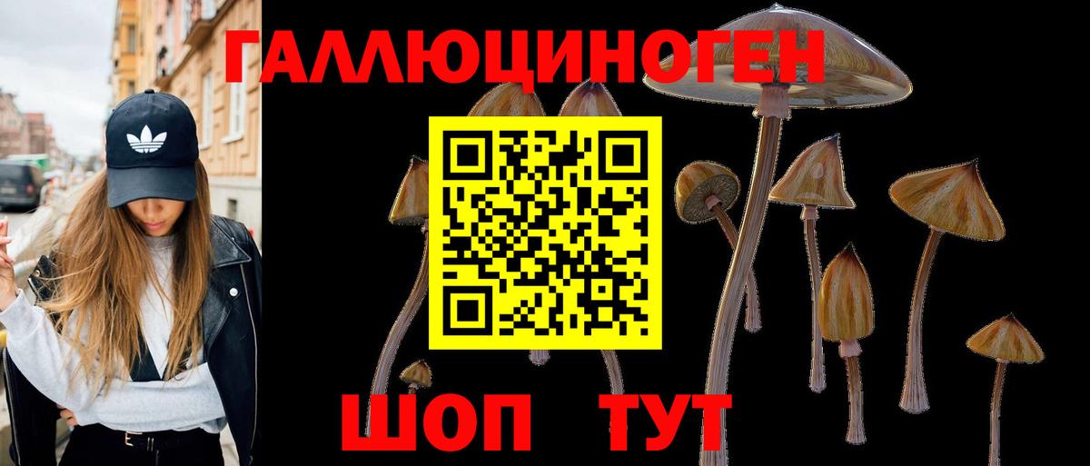 Псков  Псилоцибиновые грибы Cubensis  Вход с VPN  Псилоцибиновые грибы GOLDEN TEACHER 